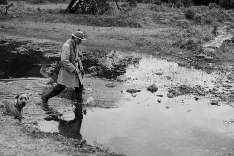 The Disappearance of Josef Mengele