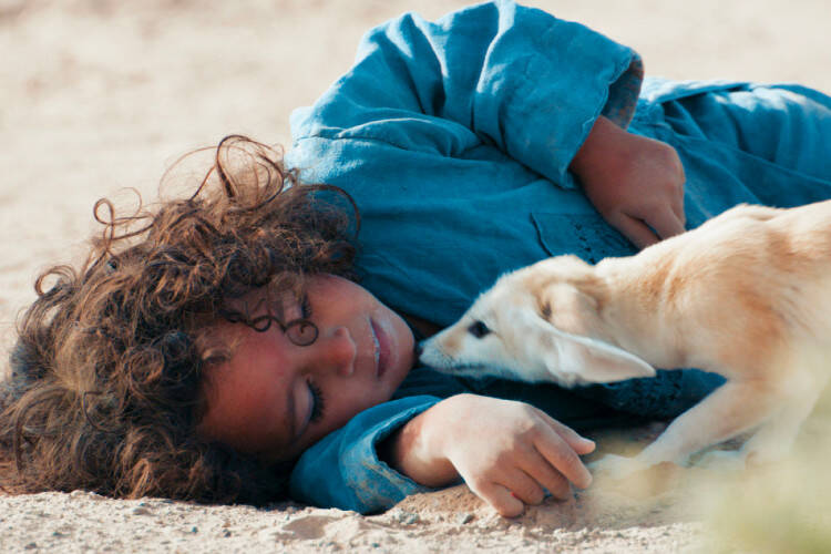 L&rsquo;enfant du désert